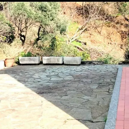 Red Squirrels كوغوليتو